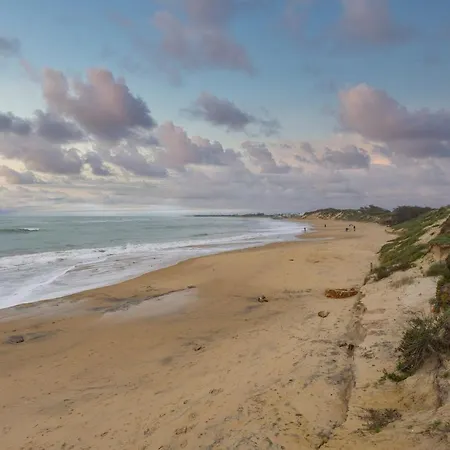 Palmeras-candor Free Parking By Cadiz4rentals Apartment